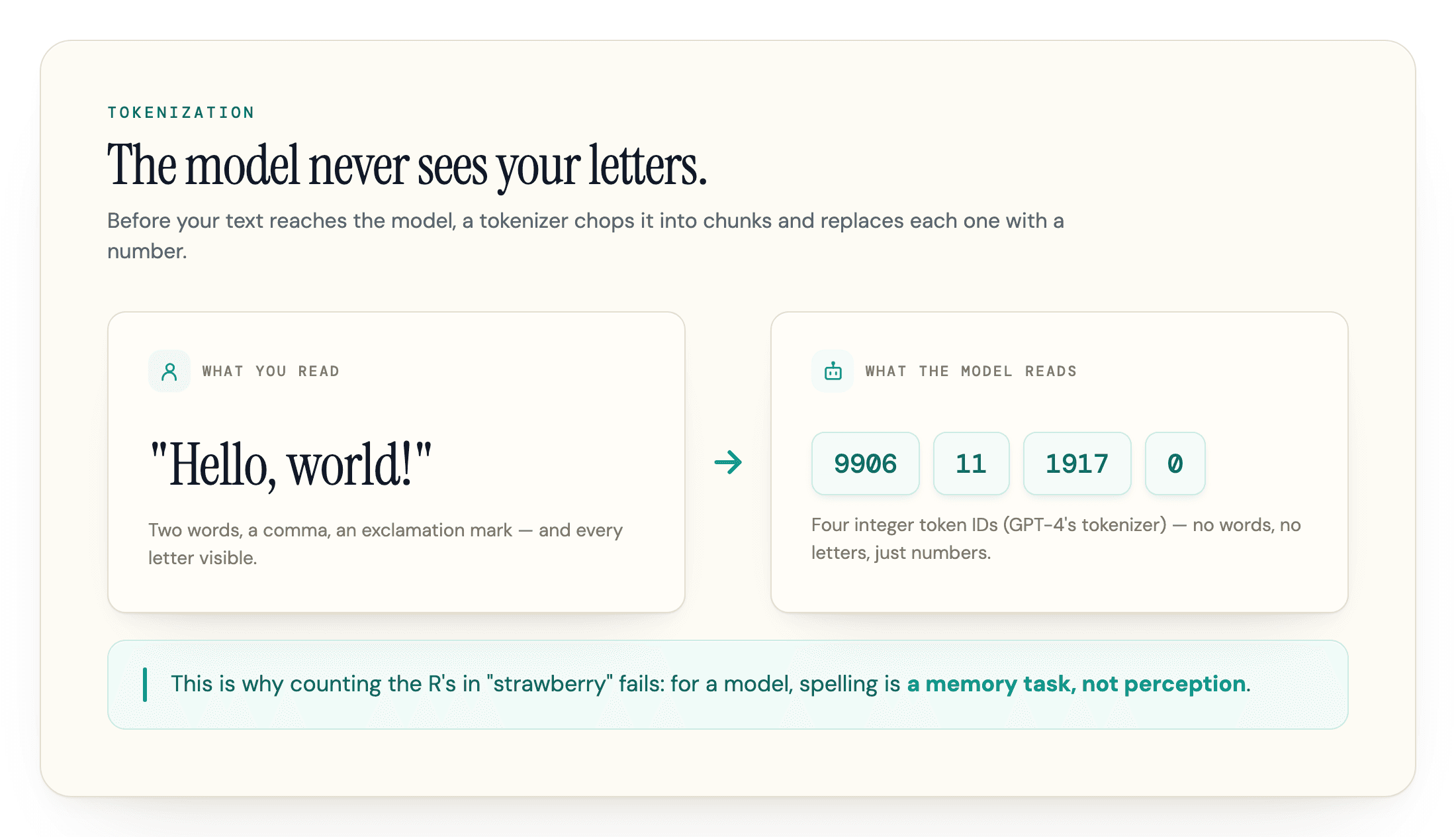 « Hello, world! » tel qu'un lecteur le voit face aux quatre identifiants de tokens que reçoit le modèle.